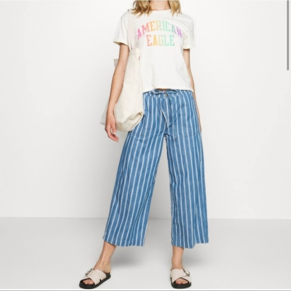 AE Striped Chambray HighWaisted Wide Leg Crop Pant Size 6
